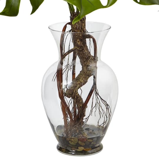 2ft. Monstera Plant in Glass Vase